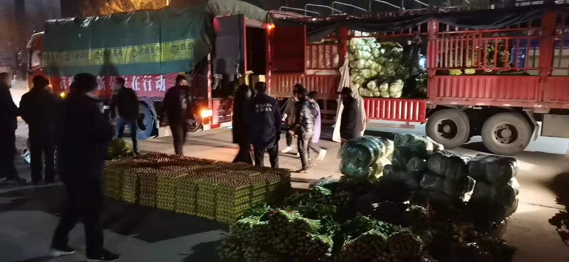 感謝黨和政府對我公司送來新鮮蔬菜，愿，國無恙，山河永固，加油，西安！